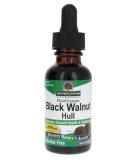 Black Walnut Hulls Alcohol-Free Extract 30ml - 2000mg per Serving | Gluten-Free - Buy Online on GoSupps.com