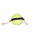 Flamingo HS Matchball Tennis Ball 15CM | Premium Quality & Fast International Shipping - Buy Online on GoSupps.com