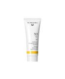 Dr. Hauschka Tinted Day Cream SPF 30 - Hydrating Sun Protection | 40 ml | International Shipping Available - Buy Online on GoSupps.com