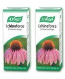 (2 Pack) - A Vogel - Echinaforce Drops | 50ml | 2 Pack Bundle by A Vogel - Buy Online on GoSupps.com