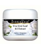Extra Strength Uva Ursi Leaf 4:1 Extract Salve Ointment (2 oz) - ZIN 514265 - Buy Online on GoSupps.com