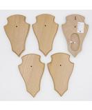 5 Piece REH Trophy Signs - Light Oak Plaques with Pine Compartment | 19x11 cm - Ideal for Awards & Decor | International Shipping - Buy Online on GoSupps.com