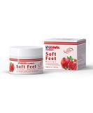 GEHWOL Soft Feet Butter  3.5 oz. - Buy Online on GoSupps.com