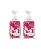 Bath and Body Works Twisted Peppermint Hand Soap 2 Pack- 8.75 Fl Oz (Pack of 2) - Buy Online on GoSupps.com