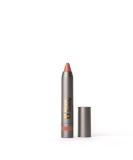 Rinna Beauty Thick Stick Lip Crayon - Cake | Long Lasting Moisturizing Vegan Lipstick with Built-In Sharpener - Cruelty-Free & Gluten-Free - Buy Online on GoSupps.com