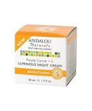Buy Andalou Naturals Night Cream - Purple Carrot + C | International Shipping Available - Buy Online on GoSupps.com