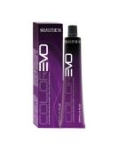 Colorevo 8.1 Hell Ashblond - Premium International Hair Color Long-Lasting & Vibrant Results - Buy Online on GoSupps.com