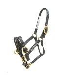 Monty Robert's double headhaft - Buy Online on GoSupps.com