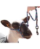 Sullivan Supply Sheep or Goat Halter with Snap Lead in Black, Pink, and Teal - Buy Online on GoSupps.com