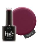 Halo Gel Polish *Full Range 8ml* **CHOOSE YOUR COLOUR(S)** (Burgundy N2808) Burgundy N2808 8 ml (Pack of 1) - Buy Online on GoSupps.com