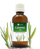 Calamus Oil (Acorus Calamus) - 100% Pure Therapeutic Essential Oil - Salvia Amber Bottle - 100ML Aromatherapy - Cold Pressed Uncut Undiluted - Buy Online on GoSupps.com