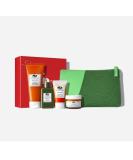 Gift of Glow: Hydrating GinZing & Mega-Mushroom Glow Set | International Shipping Available - Buy Online on GoSupps.com