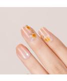 Danni & Toni Half Hardened Gel Nail Films - Full Bloom Spring Flower Glossy UV Nail Foil Stickers | Self-Adhesive Wraps for Stunning Nail Designs - 28 Pack - Buy Online on GoSupps.com