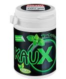 Buy kauX Xylitol Dental Care Chewing Gum - Aspartame-Free Spearmint (60g 40 Pieces) | International Shipping Available - Buy Online on GoSupps.com
