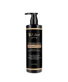 S-Secrets Strengthen & Restore Shampoo | Buriti Fruit Jamaican Black Castor Oil & Shea Butter | Ideal for Kinky Curly & Wavy Hair | Scalp Health & Hair Strengthening - Buy Online on GoSupps.com