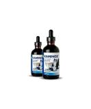 VetPlus Kaminox - A Highly Palatable Liquid Nutritional Support For Cats 60Mls - Buy Online on GoSupps.com