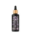 Naturise Iron Drops - High-Dose Vegan Iron Supplement with Date Extract - 100ml UV Glass Pipette - Optimal Absorption for International Shipping - Buy Online on GoSupps.com