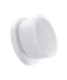 Buy Remington SP-FC10 Luxe Replacement Brushes | International Shipping Available - Buy Online on GoSupps.com