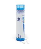 Boiron Rhus Toxicodendron 30C Homeopathic Medicine for Joint Pain - 80 Pellets - 80 Count - Buy Online on GoSupps.com