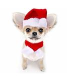 NANSAM Dog Christmas Hat and Scarf Set - Adjustable Red White Pet Accessories for Kittens and Puppies | Perfect Holiday Outfit - Buy Online on GoSupps.com