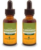 Buy Herb Pharm Bladderwrack Liquid Extract - 1 Oz (Pack of 2) - Premium Seaweed Supplement for Wellness - International Shipping Available - Buy Online on GoSupps.com