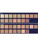 Dermacolor Camouflage Mini Palette - Medium | Perfect Color Correction for Flawless Skin | International Shipping Available - Buy Online on GoSupps.com