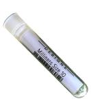 Jen Kingwell Milliners Size 10 Needles - Set of 10 for Hand Stitching - Buy Online on GoSupps.com