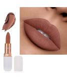 AQUAPURITY PHOERA ABSOLUTE VELVET MATTE LIPSTICK LONG LASTING WATERPROOF PIGMENT MAKEUP UK (102 Nude) - Buy Online on GoSupps.com