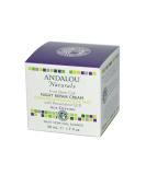 Andalou Naturals Night Repair Cream Resveratrol Q10 1.7 Oz - Anti-Aging Skincare for Youthful Radiance | Shop Internationally - Buy Online on GoSupps.com