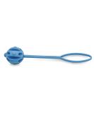 Petp l TPE Rubber Dog Toys: Food-Safe Frisbee Ball & Chewing Bones for Small & Large Dogs - Durable Water-Friendly & Fun - 6.5cm Blue - Buy Online on GoSupps.com