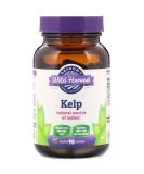 Oregon's Wild Harvest Kelp - 90 Gelatin Capsules for Natural Wellness - Buy Online on GoSupps.com