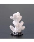 Movoja 2 Pieces Aquarium Decoration Corals - White Coral for Fresh & Salt Water Aquariums - Ideal Aquaristics Decor - Buy Online on GoSupps.com