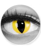 Buy Funnylene Cat Eye Yellow Colored Contact Lenses - 2 Pack Soft Monthly Lenses + Free Container - Perfect for Halloween & Carnival - Buy Online on GoSupps.com