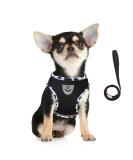Femax Dog Harness & Linen Set for Dogs - Soft Mesh Padded Reflective Adjustable & Breathable - Perfect for Walking Running & Training - Fits Breast 30-34 cm - Cows Black - Buy Online on GoSupps.com