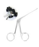 Stainless Steel Nasal Tweezers for Ear Cleaning and Wax Removal - Ear Forceps Plier for Effective Ear Treatment - Buy Online on GoSupps.com