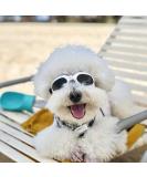 PETLESO Dog Goggles Stylish Pet Sunglasses Anti-Fog Waterproof Windproof Dog Sunglasses Eye Protection Anti-UV Goggles for Small/Medium Dogs - White - Buy Online on GoSupps.com