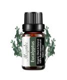 Organic Eucalyptus Essential Oil - Pure 10ml for Diffuser Humidifier Massage Bath & Skin Care - International Shipping - Buy Online on GoSupps.com