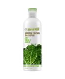 Petal Fresh SuperFoods Damage Control Shampoo Kale Omega 3 & Keratin 12 fl oz (355 ml) - Buy Online on GoSupps.com