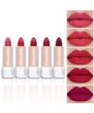 5Pcs Matte Lipstick Set for Women - Long Lasting Smudge Proof Lipstick Kit in Dark Light Shades - Buy Online on GoSupps.com