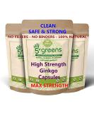 Ginkgo Biloba 15000mg Capsules Clean Safe Strong 24% Glycosides 6% Terpene lactones Strongest on Amazon Various Sizes 60 Capsules - Buy Online on GoSupps.com