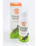 PetExx Energy Boost 100ml - Multivitamin Rehydration Immune Support Electrolyte Pet Supplement with Beta Glucans, Prebiotics, Amino Acids, Vitamins A E D3 & B12 - Green Tea Formula - Buy Online on GoSupps.com