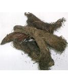 TRH Jatamasi - Spikenard Musk Root Nardostachys Balchad 100gm - Pure and Natural - Buy Online on GoSupps.com