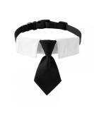 Adjustable Dog Fly Collar & Formal Neckband with Black Tie - Perfect for Large Medium & Small Dogs & Cats | International Shipping - Buy Online on GoSupps.com