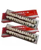 56 Pieces Multi-Purpose False Teeth - Synthetic Polymer Dentures & Replacement Acrylic Resin Teeth - Buy Online on GoSupps.com