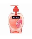 Buy Softsoap Elements Pink Grapefruit Hand Soap 11.25 fl. oz. - Refreshing & Hydrating | International Shipping Available - Buy Online on GoSupps.com