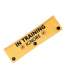 In Training Ignore Dog Leash Sleeve Dot Not Pet Working Dog Leash Sleeve Service Dog Leash Wrap (Training Ignore D-S) - Buy Online on GoSupps.com