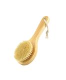 Natural Bristle Short Handle Body Brush for Exfoliating, Dry Brushing, and Skin Care - Buy Online on GoSupps.com