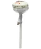 Swizzels Matlow Double Lollies x100 Lollipops - Buy Online on GoSupps.com
