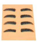 Get Perfect Brows with Celebrity Practice Eyebrow Tweezing Pallet - Buy Online on GoSupps.com