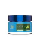 Blue Nectar Vitamin C Face Moisturizer for Oily & Acne Prone Skin | Oil-Free & Plant-Based | 19 Herbs 1.76 fl oz - Buy Online on GoSupps.com